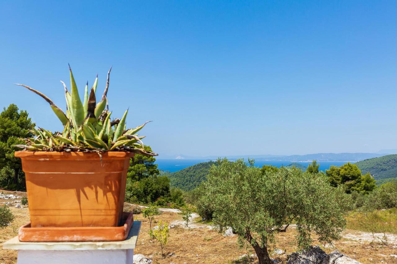 Villa Jasmine Skopelos Town Bagian luar foto